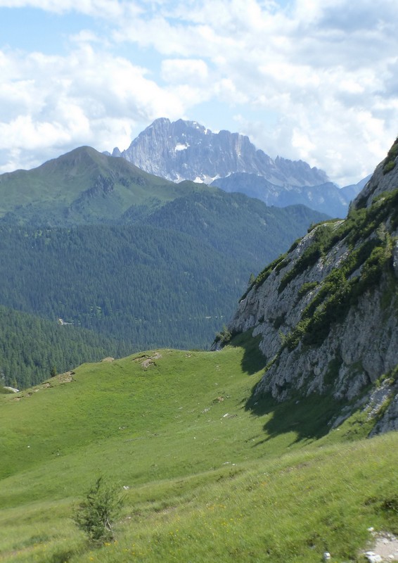 Una giornata a Valparola. Dactylorhiza, Nigritella e grandi montagne!